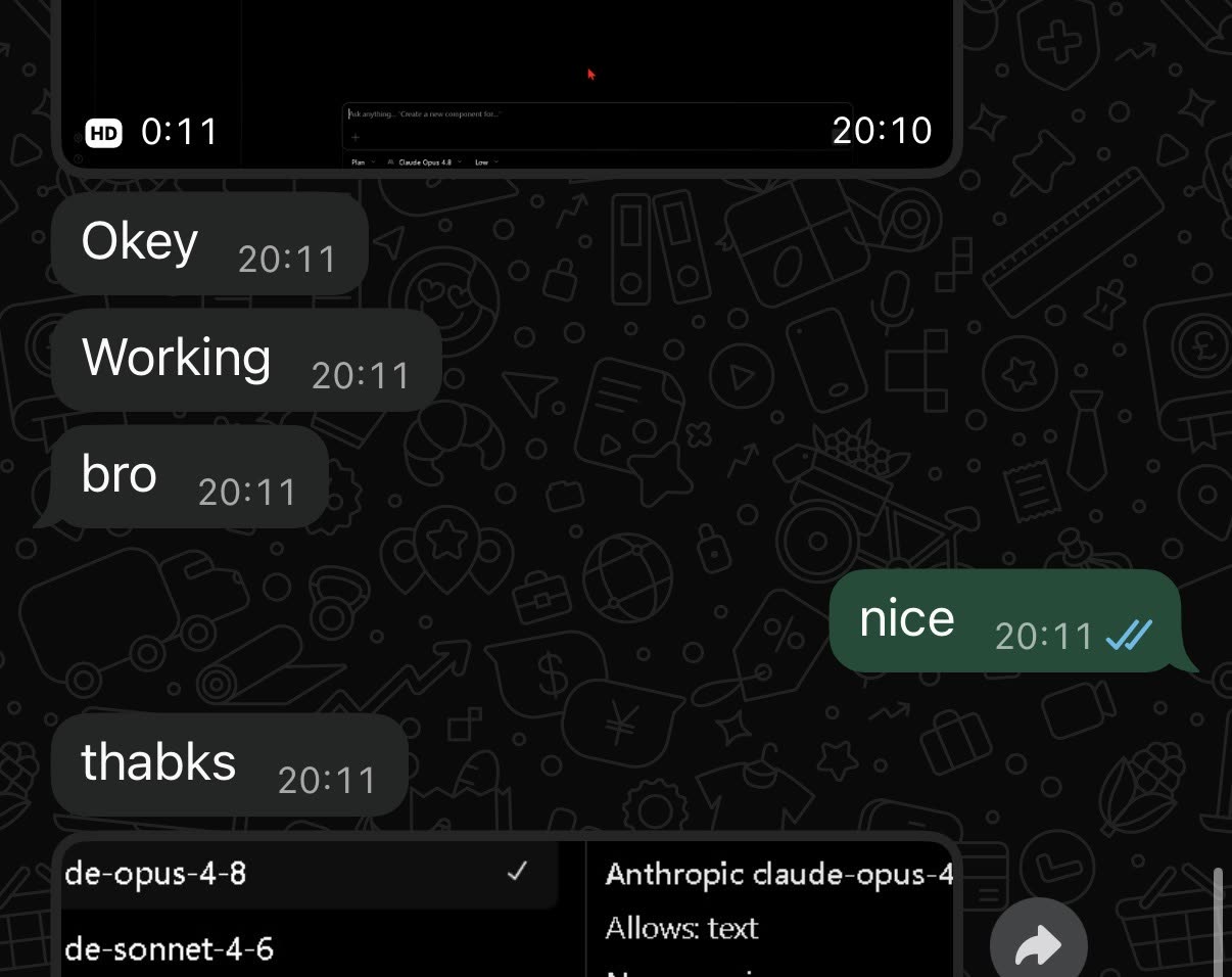 Customer chat confirming the key works